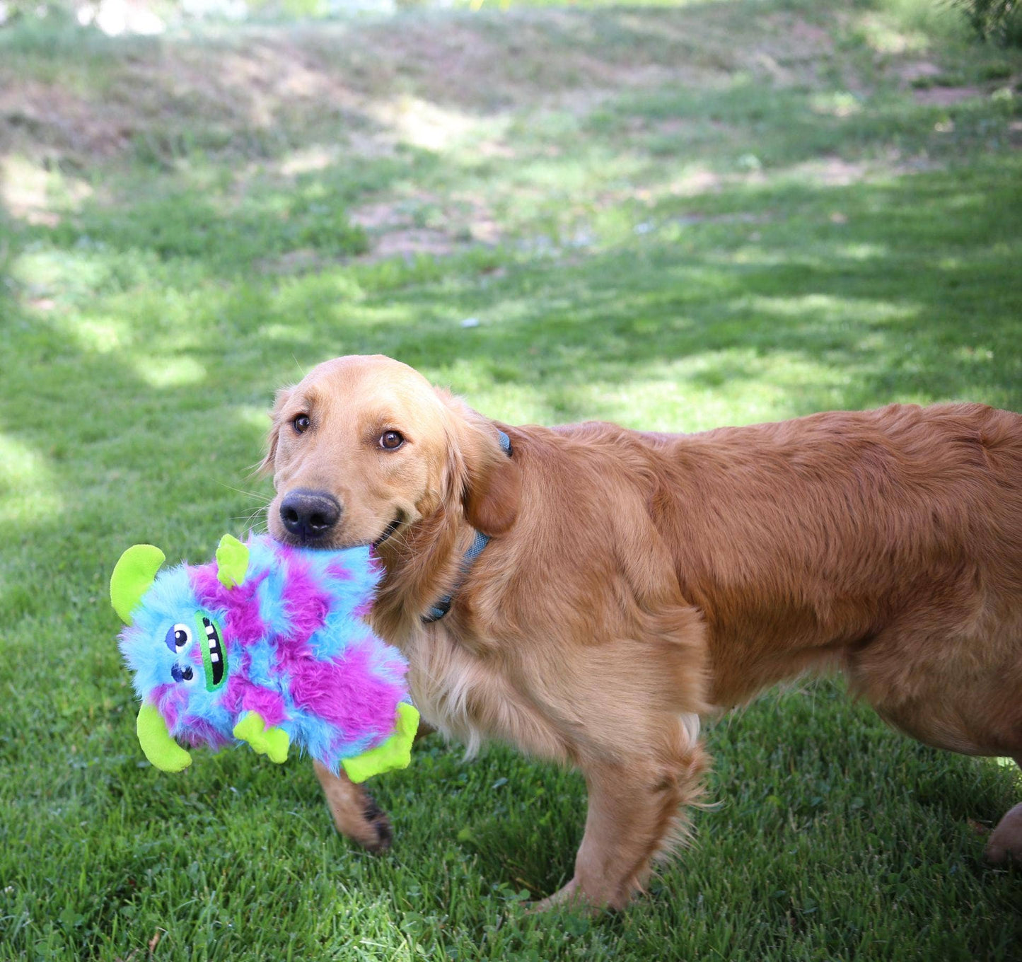 KONG® Frizzles Razzle Dog Plush Toy Medium