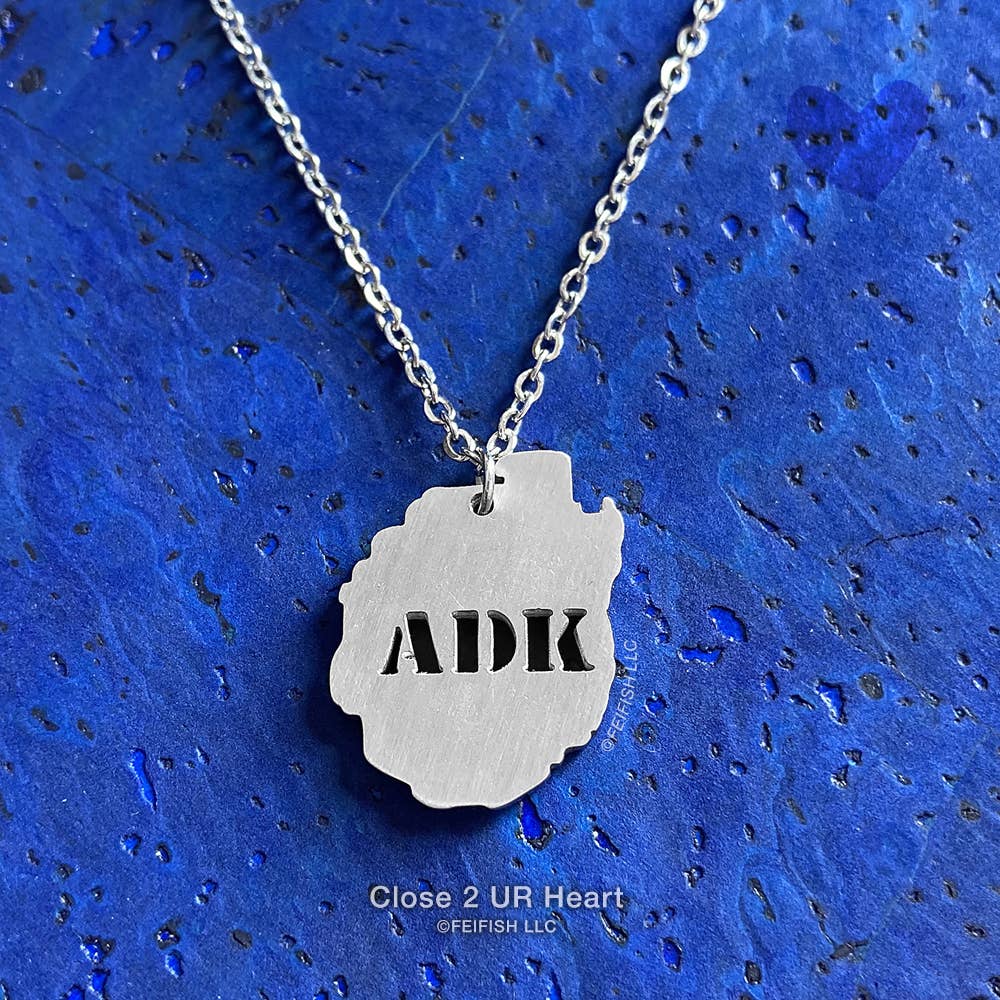 Adirondack Park Stainless Steel Necklace