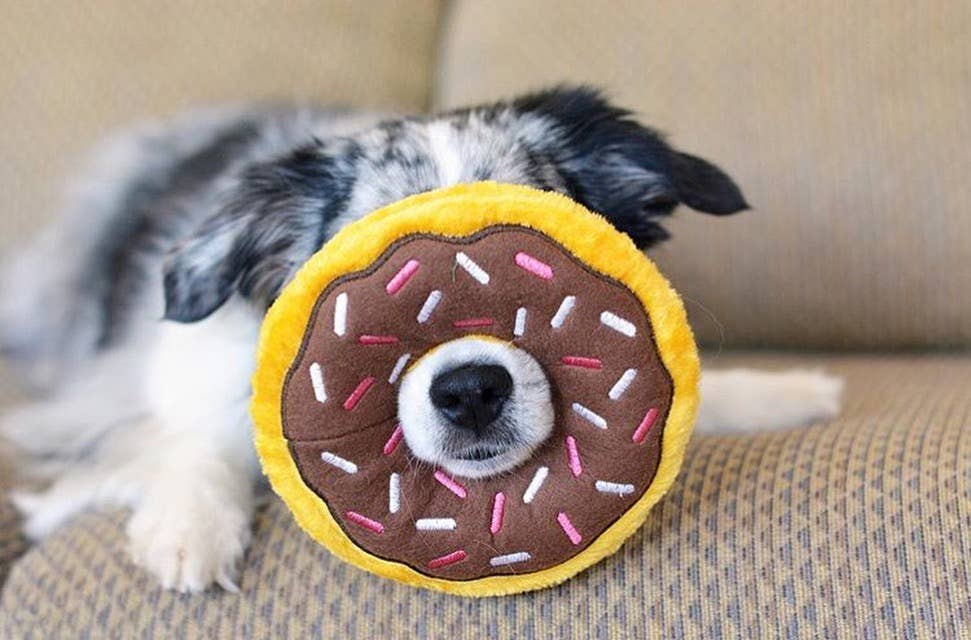 ZippyPaws Donutz Chocolate